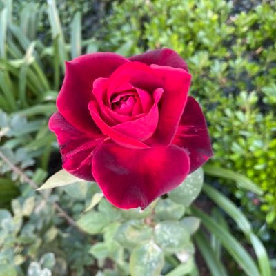 reedjr02's profile picture. 