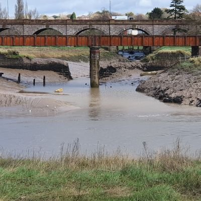 Try to improve the ecology of the river Trym