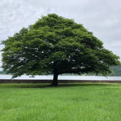 aruto2020_'s profile picture. P9JP3DE4