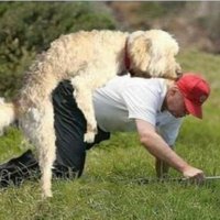 Donald J Trump (@donaldjstrumps) 's Twitter Profile