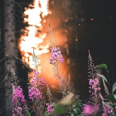 Tamra59846242's profile picture. Свободный блогер