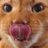 Twitter result for M&S Car Insurance from Nicktheancom