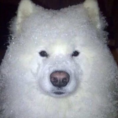 🗯さんのプロフィール画像