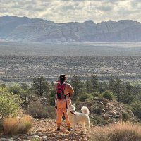 Tropictheory (@tropictheory) 's Twitter Profile