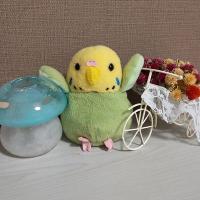 ぴっぴよー！セキセイインコです。
広東語を学びたい鳥🦜