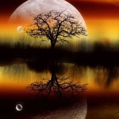 Ingcra1's profile picture. Vlaams - dierenvriend