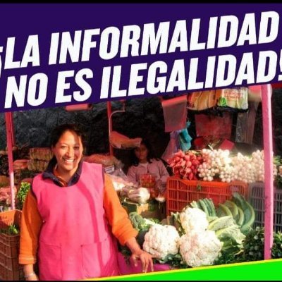 veeduria ciudadana vendedores ambulantes, estacionarios y artesanos de santiago de cali, registro No 46 ante Personeria Municipal