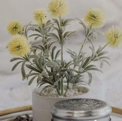 foxbee1412's profile picture. 