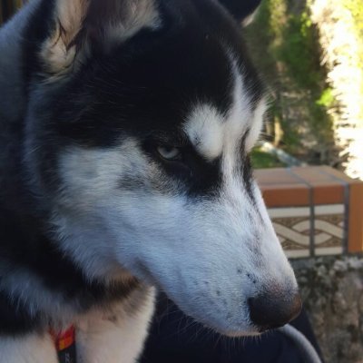 JuanIgnaMedina's profile picture. Autodesk Flame and The Foundry Nuke operator. VFX. Cinéfilo. Orgulloso de ser Español. Ayusista. 🇪🇸 V.E.R.D.E. Me gusta la fruta. 🇵🇸