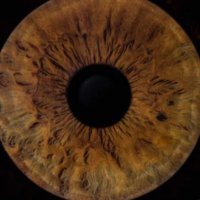 👁 (@alexisdonavy) 's Twitter Profile Photo 👁 (@alexisdonavy) 's Twitter Profile Photo