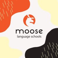 Moose Language Schools - Georgios Moustogiannis(@spartanmoose) 's Twitter Profile Photo