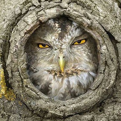 ffm, antitheist, dauerkleinschreiber, misanthrop...
fuck off and have a nice day.
https://t.co/2ybp0pqiNG
n3ga71v@getalby.com