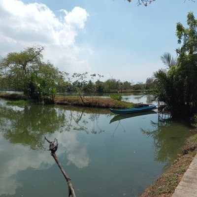 Chique89102612's profile picture. 