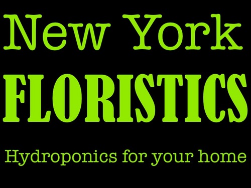 nyfloristics's profile picture. Promoting and supporting in home agriculture and plant husbandry through hydroponics, aquaponics, and terrariums.