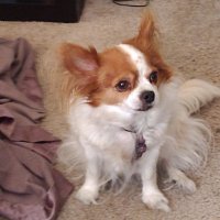 🇺🇲Miss Bella -I stand w/ 🇺🇦 (@missbella5735) 's Twitter Profile Photo