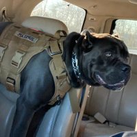 Bronson Gowdy (@bgizzy4sho) 's Twitter Profile