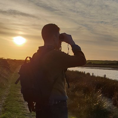 Birding in Oxford and the New Forest