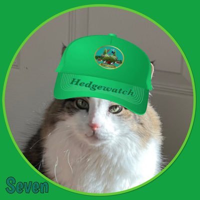 Seven is a proud member of #Hedgewatchers group