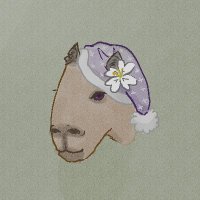 Spazy34 (@spazy34) 's Twitter Profile