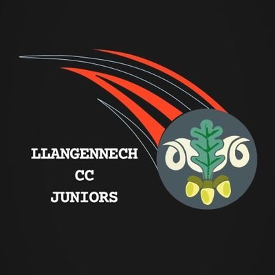 Llangennech CC Jnr Section has multiple age groups and a girls only team. We play in the S.W.J.C League under the banner of our parent club Llangennech CC.
