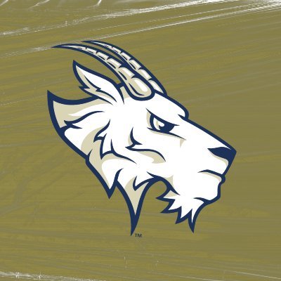 The official Twitter account for the St. Edward's University esports team. #FearTheGoat | Contact: @SterlingJH
