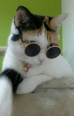 scarletll_'s profile picture. and I say, hey, what's on your mind?