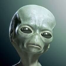 Magnusthedread's profile picture. Crypto guru