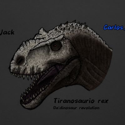 Carlos Ramirezさんのプロフィール画像