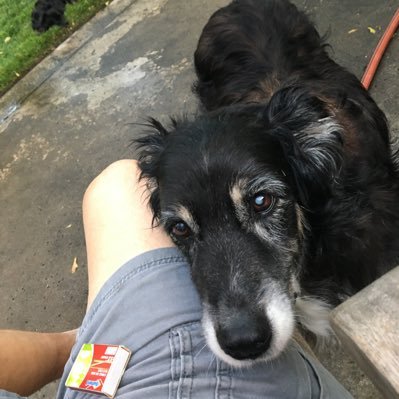 stevenbsievers's profile picture. Educator and Attorney at Law