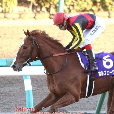 Orfevre20083's profile picture. team ken.1