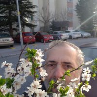 Yilmaz Guney Alisi (@alisiguney) Twitter profile photo