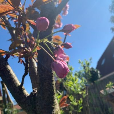 AdelaideEze's profile picture. Medical student👩‍⚕️👩‍⚕️👩‍⚕️ Chocolate 🍫🍪