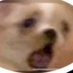 a (@camilochartsup) Twitter profile photo a (@camilochartsup) Twitter profile photo