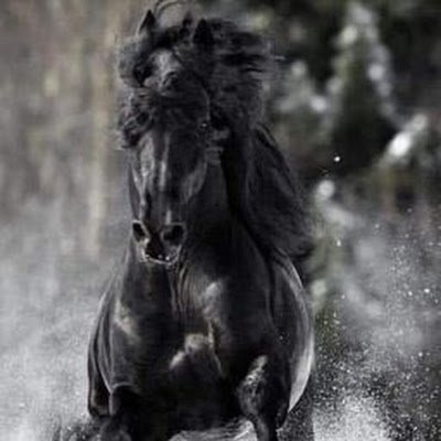 YasinNasr81's profile picture. .