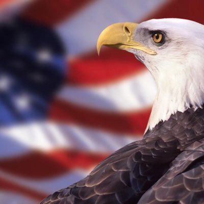 KellieJoWood's profile picture. 