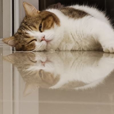 mrkismyname_mrk's profile picture. RSU | CS 🖥️ 🌅🌃🔮🃏📖 ดูดวงผ่านไพ่โอราเคิล ติดต่อ Line : ppclabby | Tel.087-4935062 24/7 #ฟรีนเบค #FreenBecky #srchafreen #beckysangels #namorntaraaa