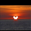 Debra Reardon - @Daydeb50 - Twitter