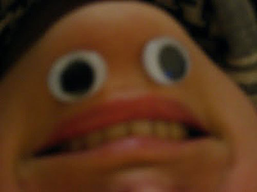 moogiem's profile picture. video producer @nprmusic