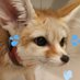 Scottchii (@scottchiiii) Twitter profile photo Scottchii (@scottchiiii) Twitter profile photo