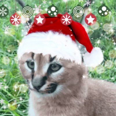 floppaenthusia4's profile picture. floppa