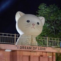 まよʕ•ᴥ•ʔ (@_mykmng) 's Twitter Profile