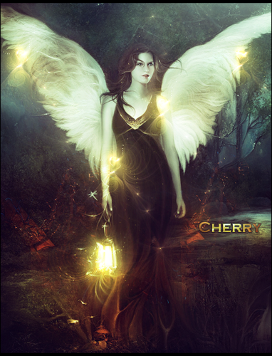 lupaple's profile picture. 