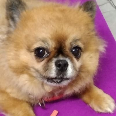 アイスさんのプロフィール画像
