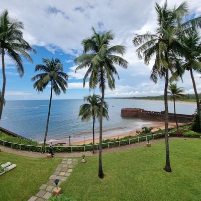 1RahilSanghvi's profile picture. 