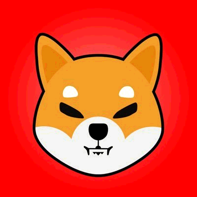 shib11902's profile picture. 