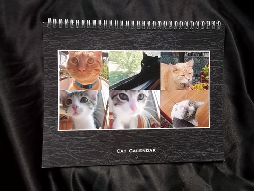 Check out our site at http://t.co/I4XW9jbU5M  I give 25% of profits from calendars to Heartland Pet Welfare (A non-kill cat shelter.