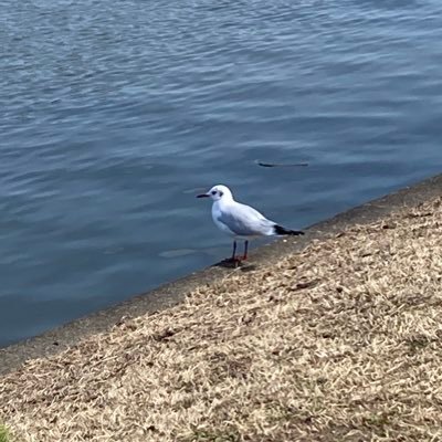 1RyPIKV49jzaA6f's profile picture. 171cm/59kg/20代！よろしくおねがいします〜