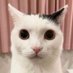 clay (@beckclayistaken) Twitter profile photo clay (@beckclayistaken) Twitter profile photo