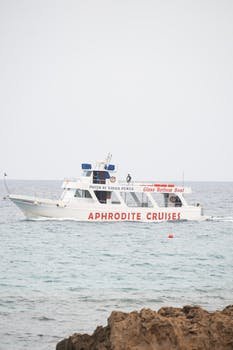 Glnihal15611779's profile picture. 