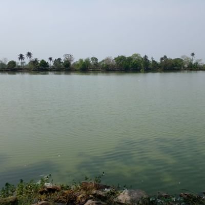 DekaAlpana's profile picture. 